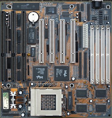 Zida 5DVX (front side)